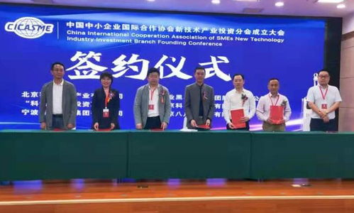 中國中小企業國際合作協會新技術產業投資分會成立，助推江西中小企業網站建設邁上新臺階